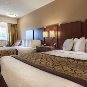 Standard Queen Room